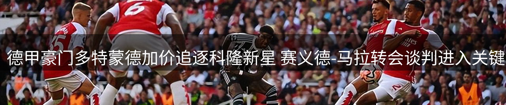 综合资讯