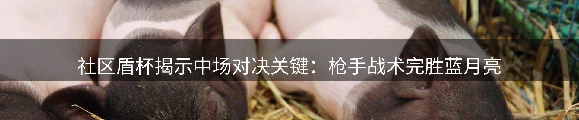 综合资讯