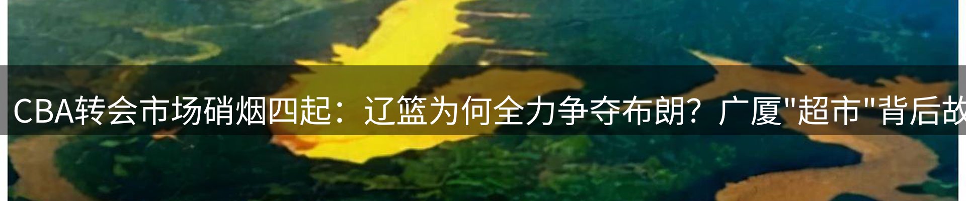 综合资讯